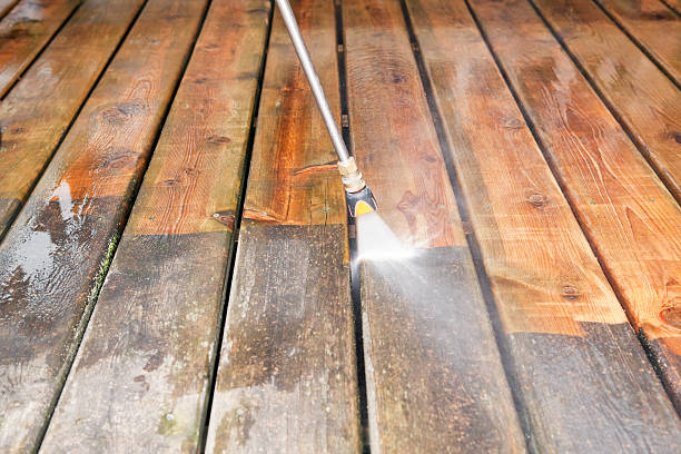 Reliable La Grulla, TX Pressure Washing Services Solutions